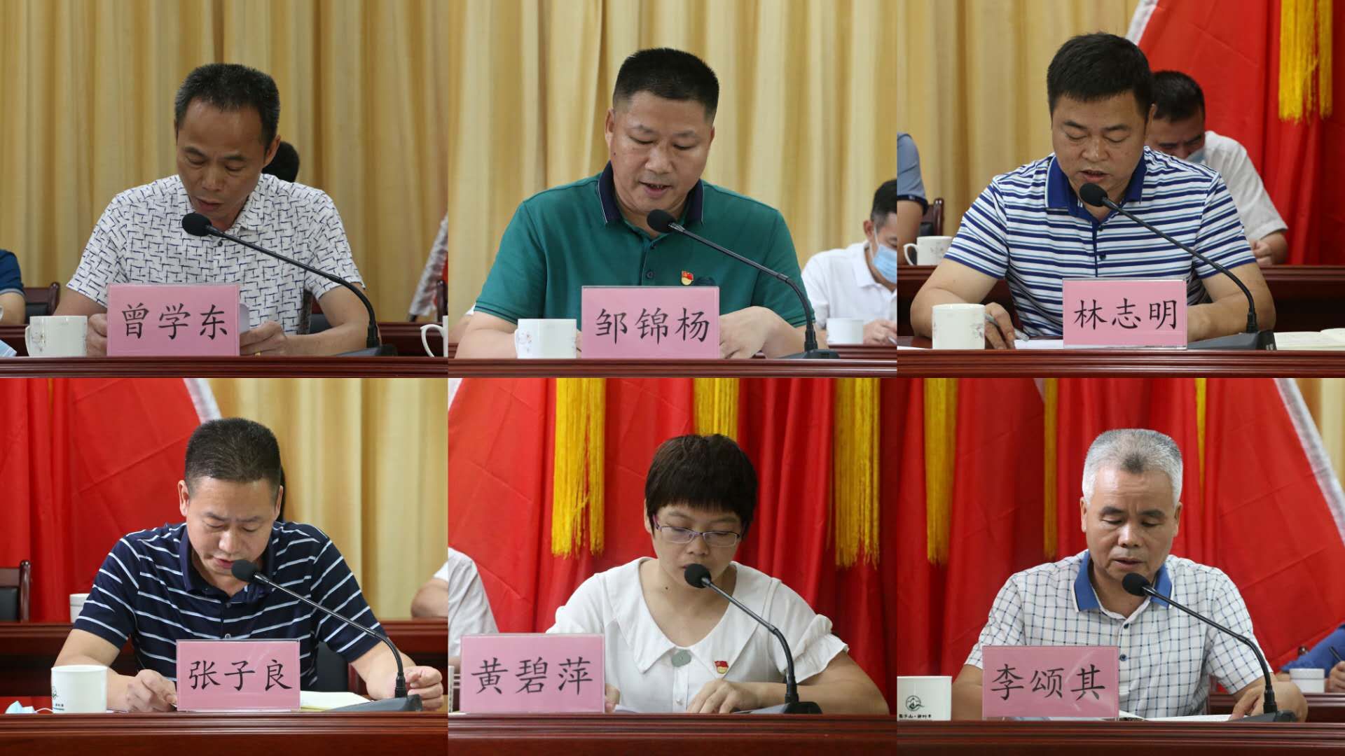 曾学东,邹锦杨,林志明,张子良,黄碧萍,李颂其等镇领导分别对疫情防控